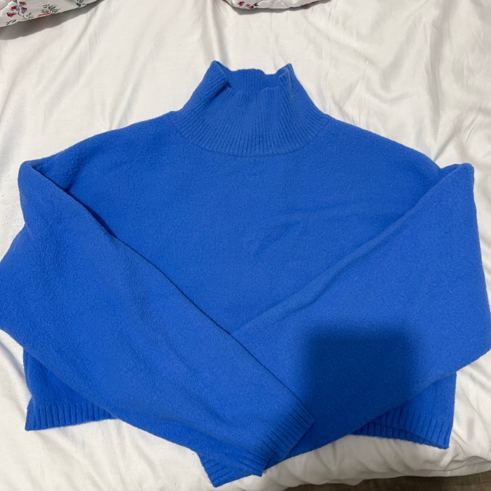 Zara Cropped Sweatshirt